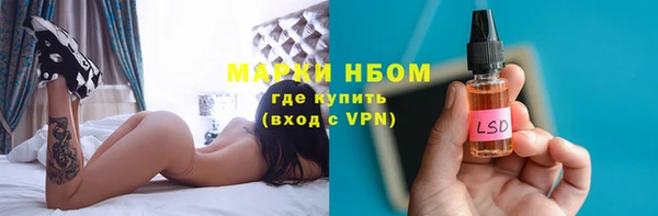сатива Алексеевка