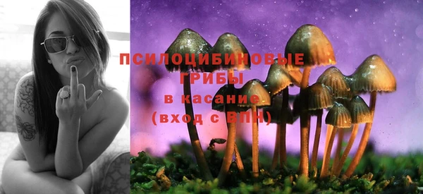 мяу мяу мука Абаза