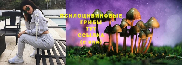 меф Алексин