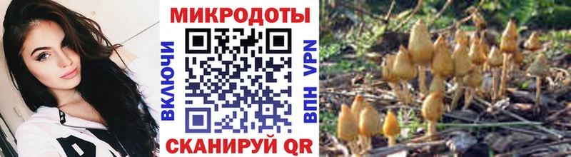 Галлюциногенные грибы прущие грибы  Безенчук 
